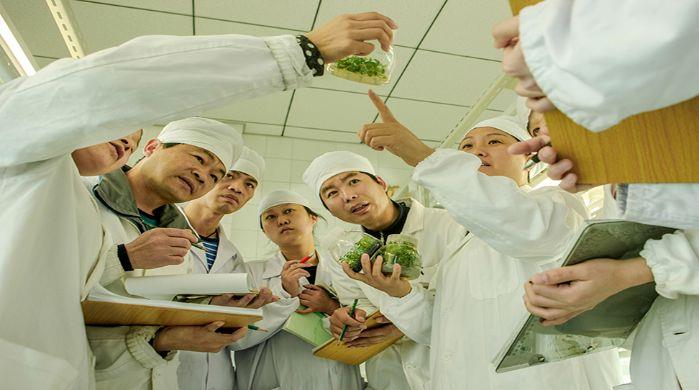 抖圈苗圃研究中心科研人员观察苗种成长情况